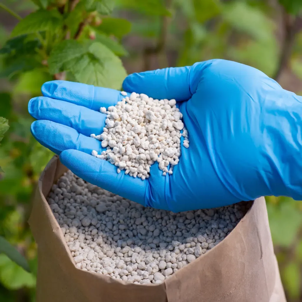 Home 6 Fertilizers